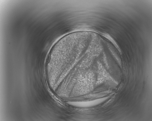 X0000055971004200509162153