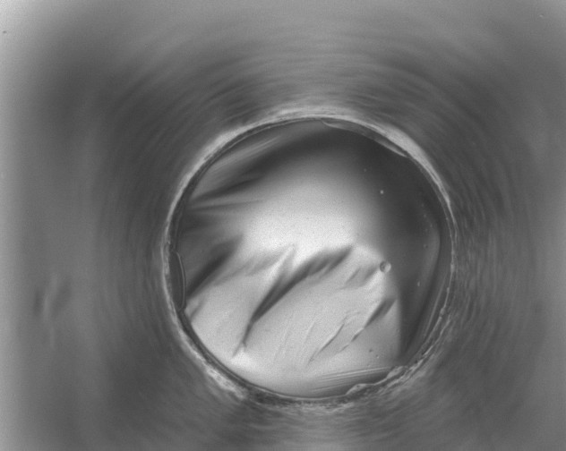 X0000055971005200509162153