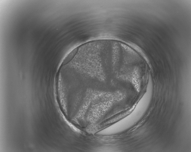 X0000055971006200509162153