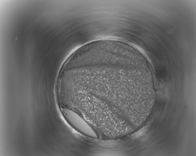 X0000055971007200509162153