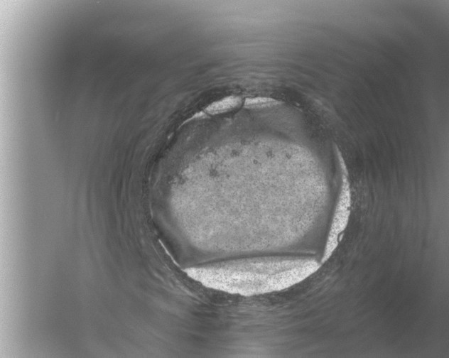 X0000055971009200509162153