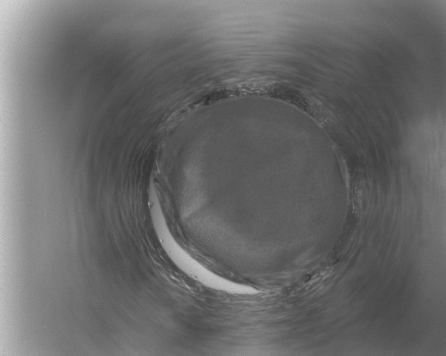 X0000055971010200509162153