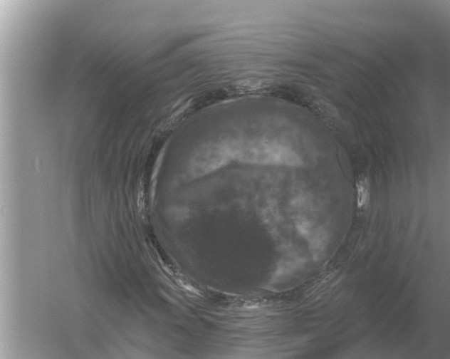 X0000055971011200509162153