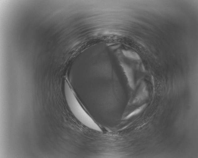 X0000055971013200509162153