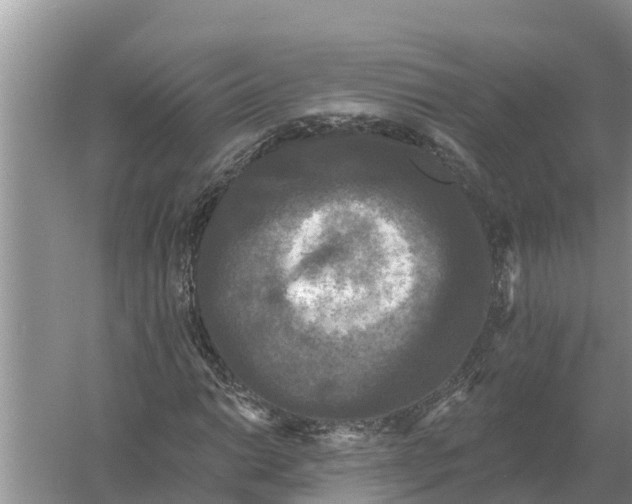 X0000055971014200509162153