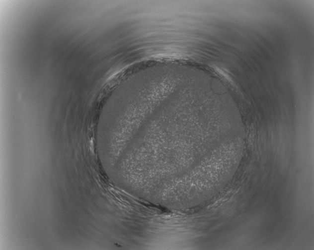 X0000055971015200509162153