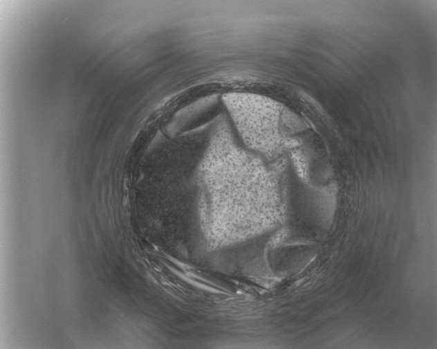 X0000055971016200509162153