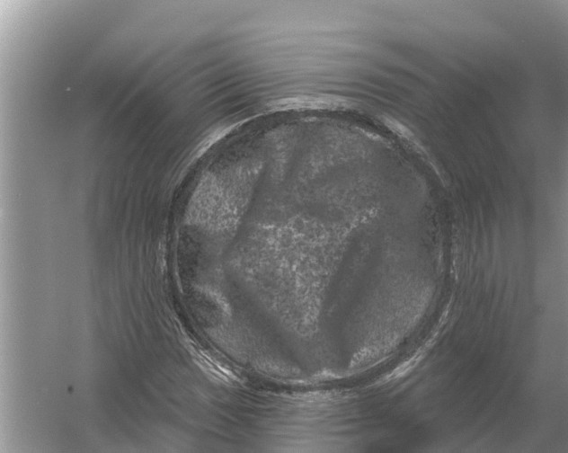 X0000055971017200509162153