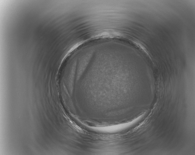 X0000055971018200509162153