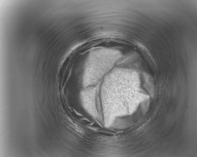 X0000055971019200509162153