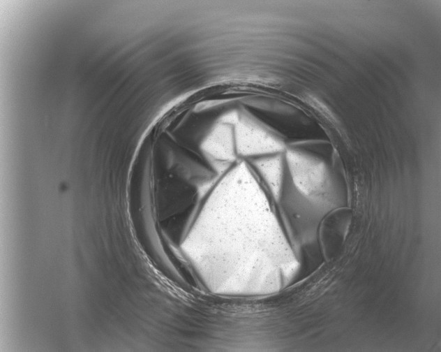 X0000055971020200509162153