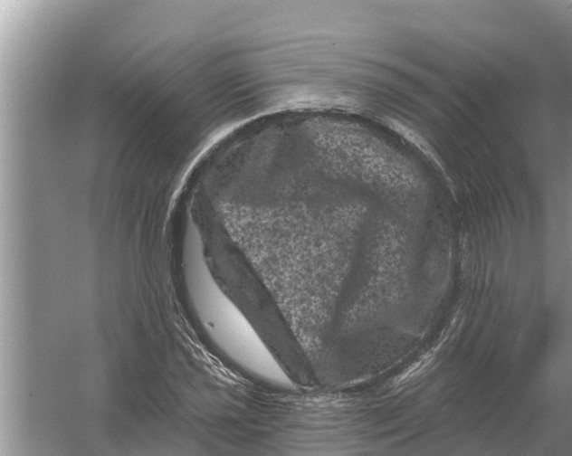 X0000055971021200509162153