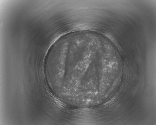 X0000055971023200509162153