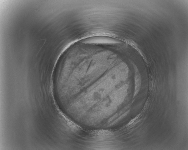 X0000055971024200509162153