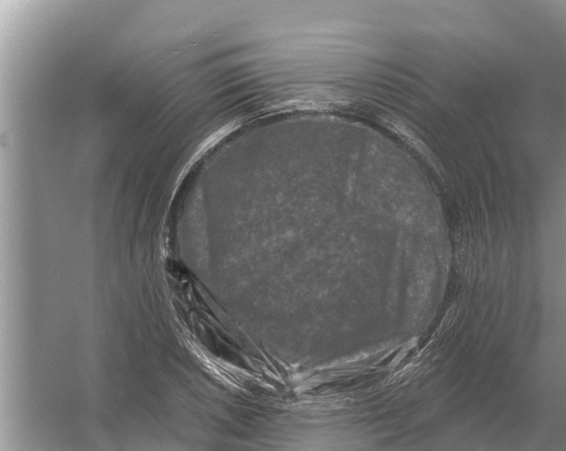 X0000055971026200509162153