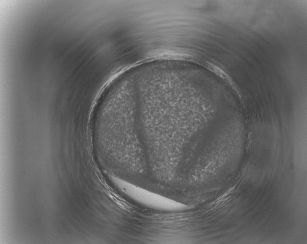 X0000055971027200509162153