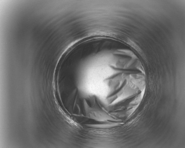 X0000055971028200509162153