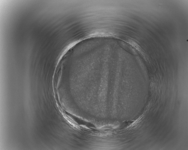 X0000055971030200509162153