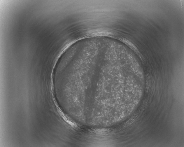 X0000055971031200509162153