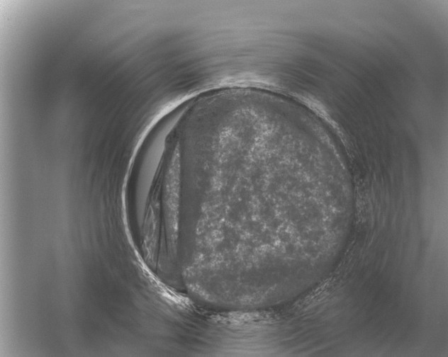 X0000055971032200509162153