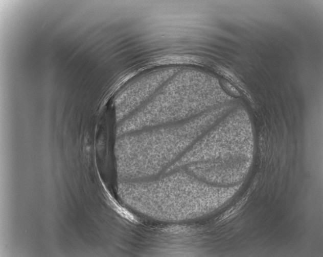 X0000055971033200509162153