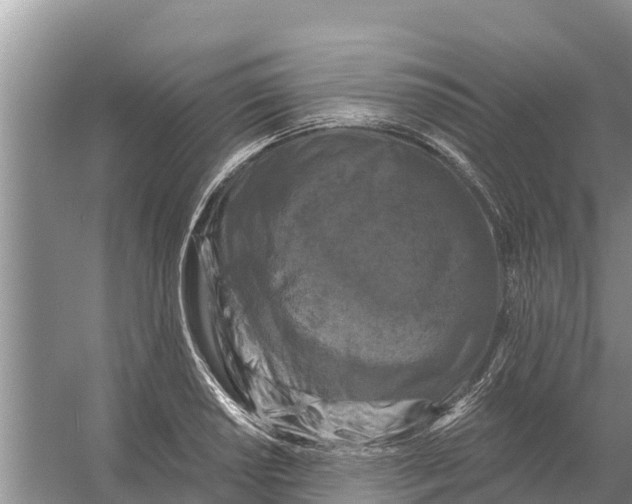 X0000055971034200509162153