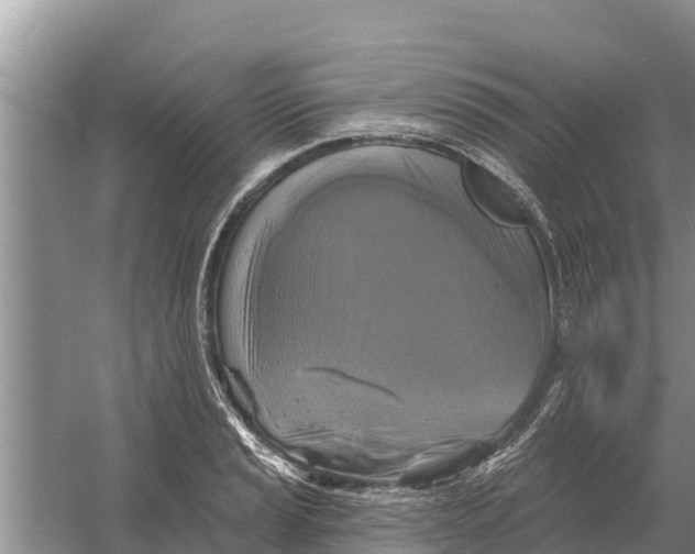 X0000055971037200509162153