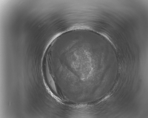 X0000055971038200509162153