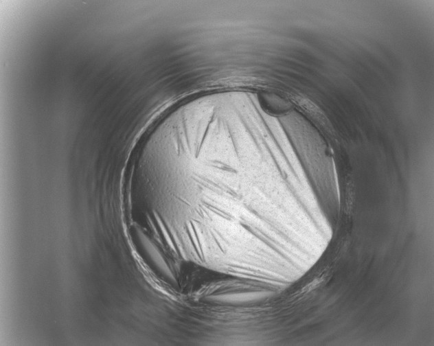 X0000055971039200509162153