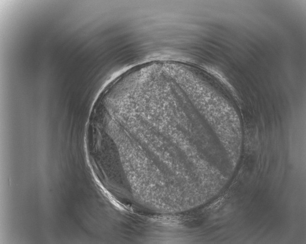 X0000055971040200509162153