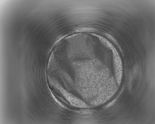 X0000055971041200509162153