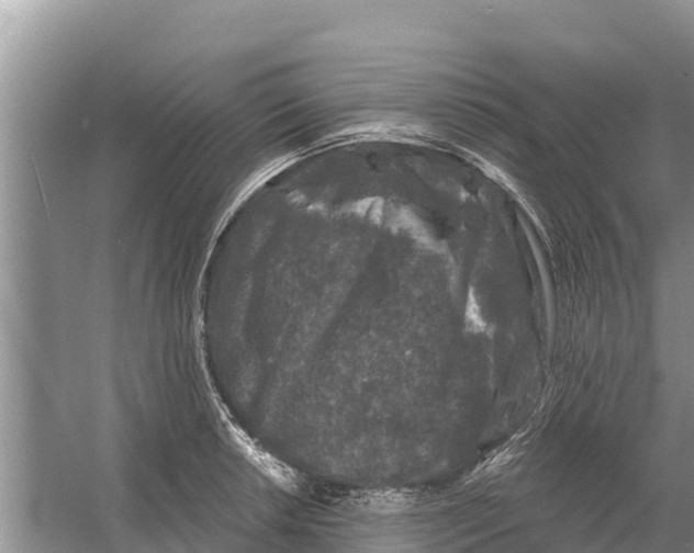 X0000055971042200509162153