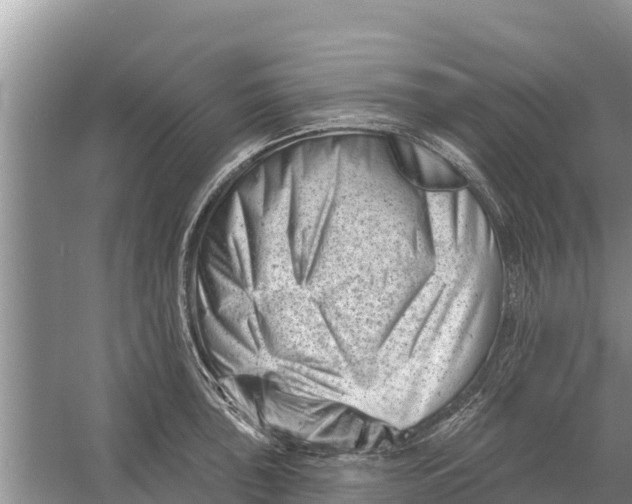 X0000055971043200509162153