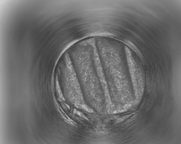 X0000055971044200509162153