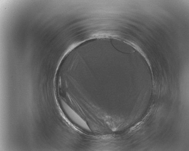 X0000055971045200509162153