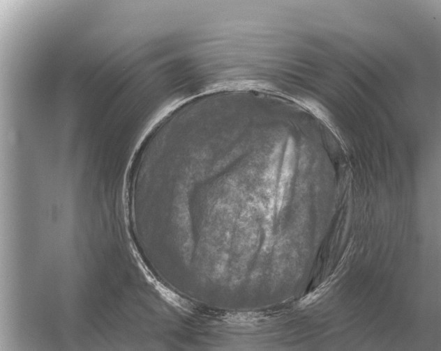 X0000055971046200509162153