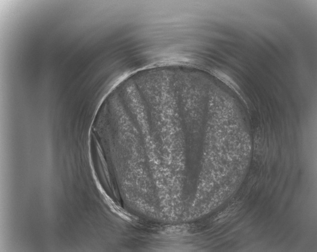 X0000055971047200509162153