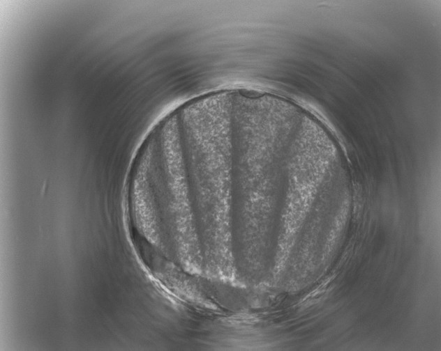 X0000055971048200509162153