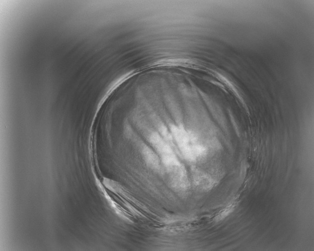 X0000055971050200509162153