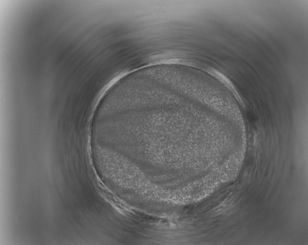 X0000055971051200509162153