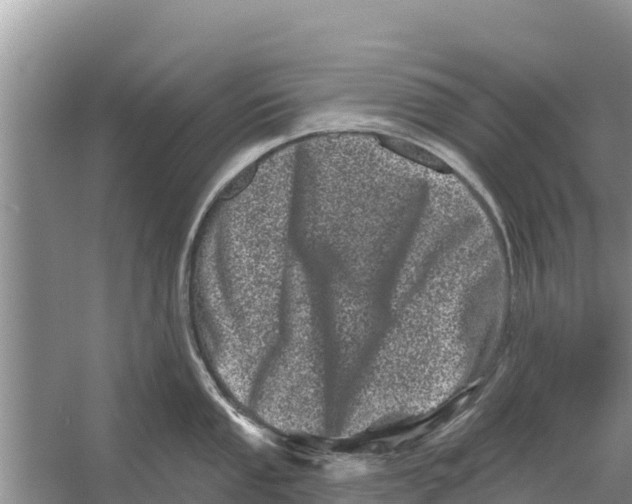 X0000055971053200509162153