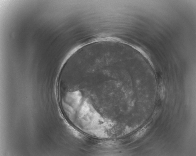 X0000055971054200509162153