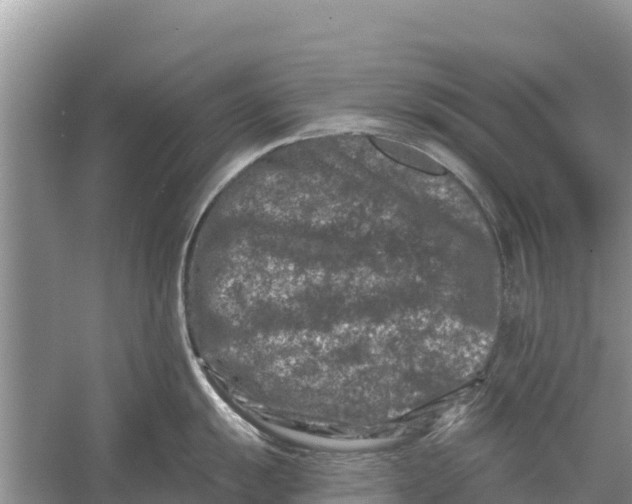 X0000055971055200509162153