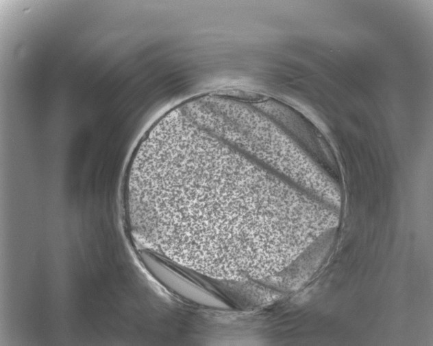 X0000055971056200509162153