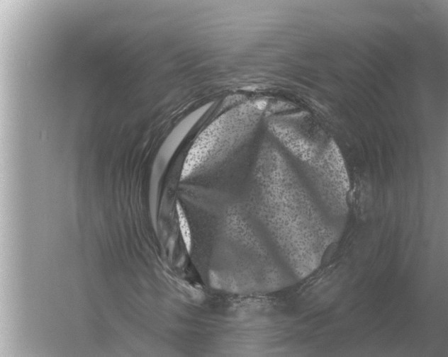 X0000055971058200509162152