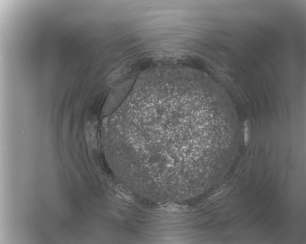 X0000055971059200509162152