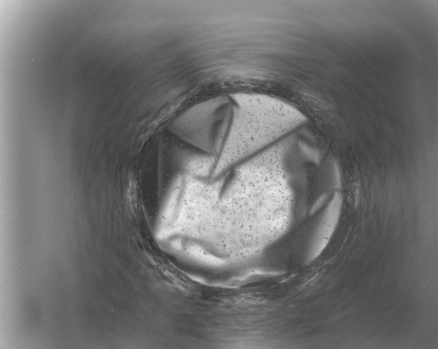 X0000055971061200509162152