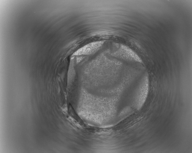 X0000055971062200509162152