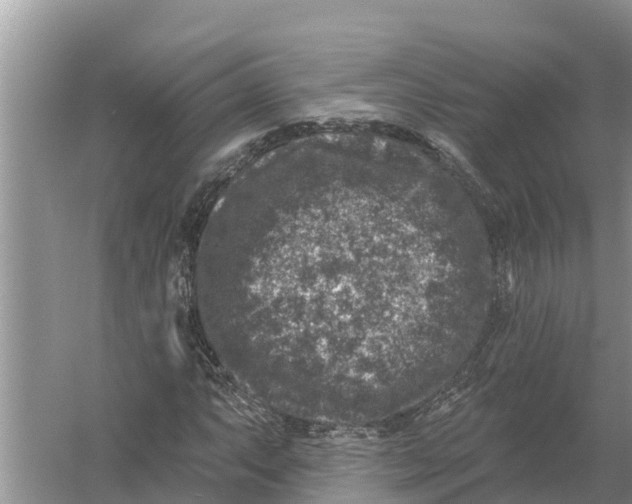 X0000055971063200509162152