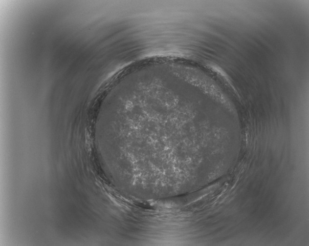 X0000055971064200509162152